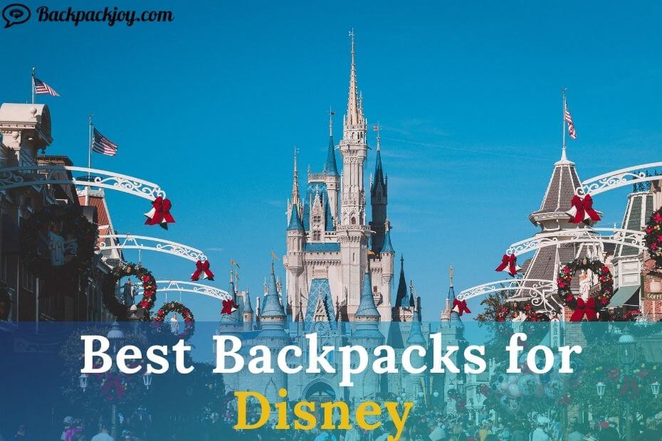 Best Backpacks for Disney