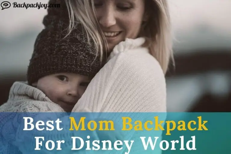 Top 6 Best Mom Backpack For Disney World