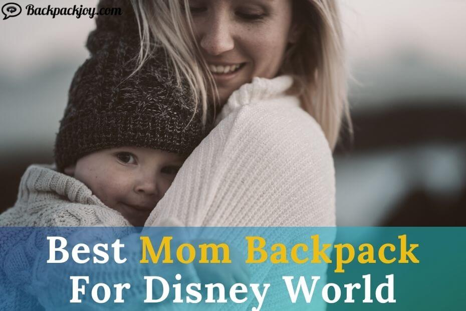 Best Mom Backpack For Disney World
