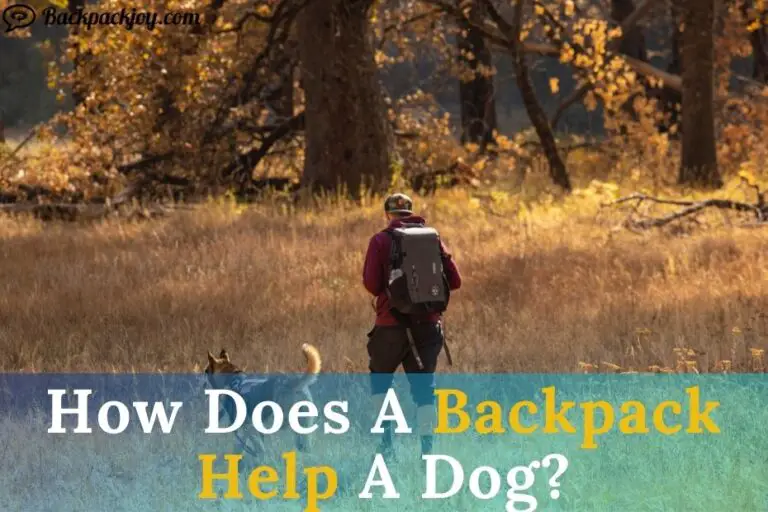 7 Reasons How Does A Backpack Help A Dog
