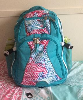 High Sierra Swerve Laptop Backpack For Middle School