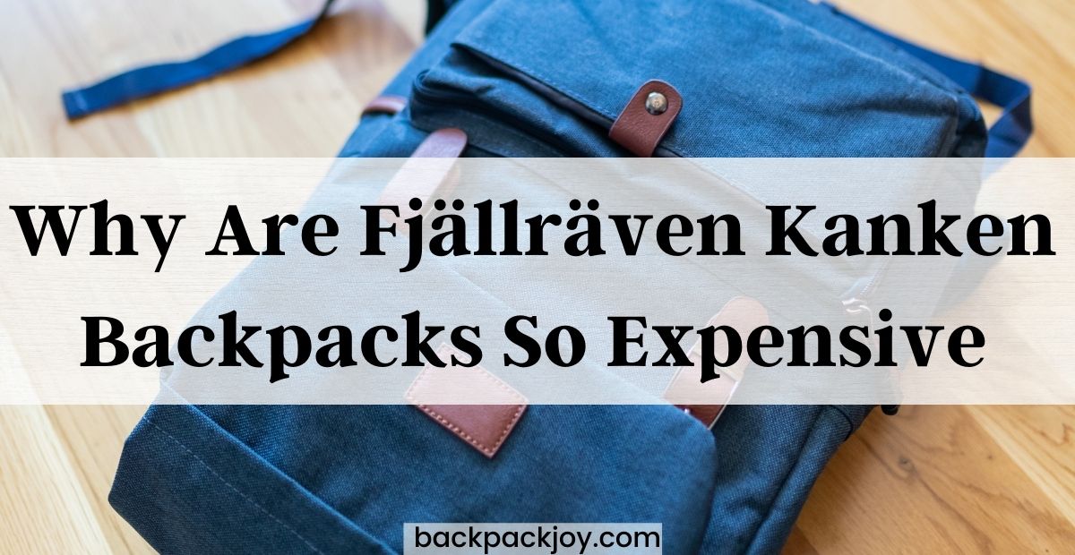 Why Are Fjällräven Kanken Backpacks So Expensive